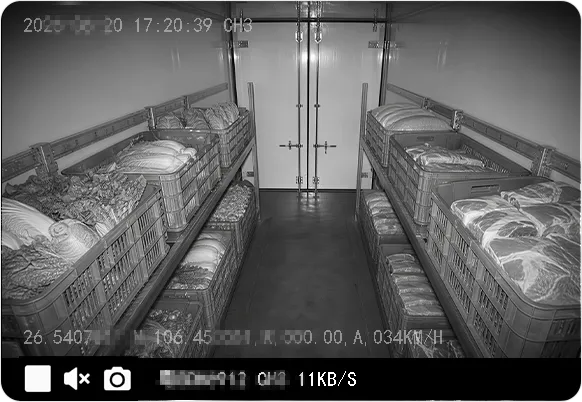 实时直播视频查看